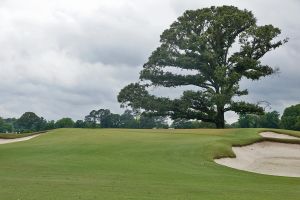 Quixote 11th Green